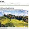 Herbst in der Steiermark: Wein, GGA Kernöl und Klapotetz